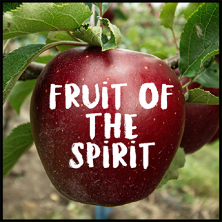 Fruit Of The Spirit: Kindness