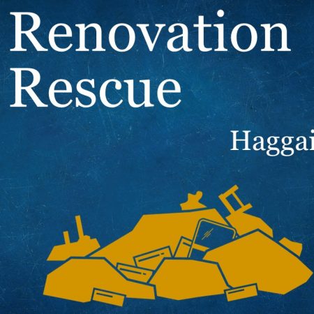 Reluctant Rebuilders